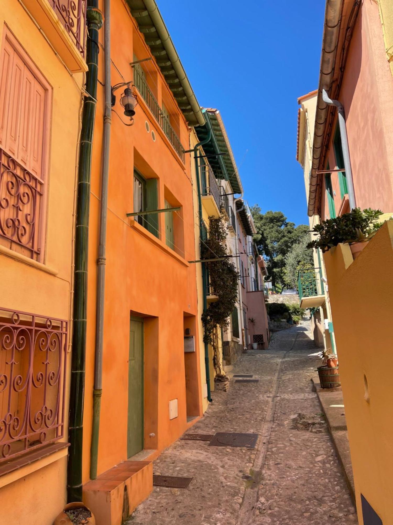 Appartement Dans Le Quartier Recherche Du Moure Collioure Exteriér fotografie